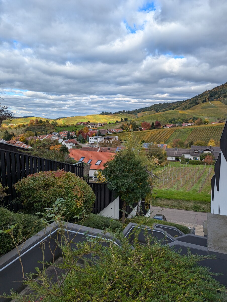 Aussicht-Treppenaufgang Haus Offenburg / Fessenbach